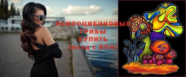 прущие грибы Алзамай