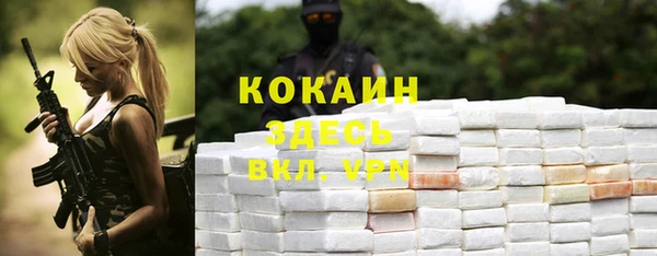 индика Алексеевка