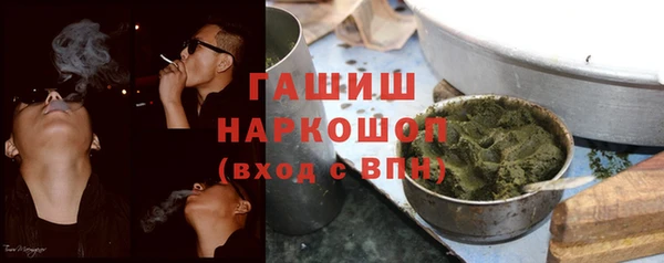 прущие грибы Алзамай