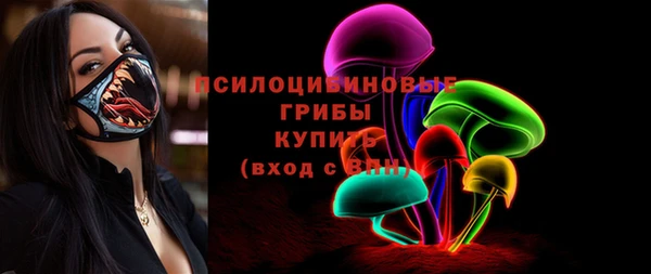индика Алексеевка