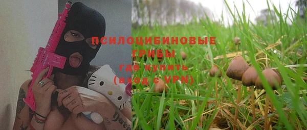 индика Алексеевка