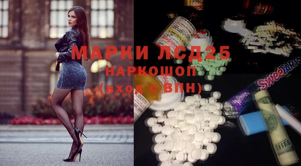 прущие грибы Алзамай